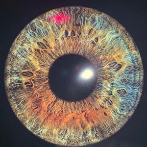 Meet your Posher, Greg